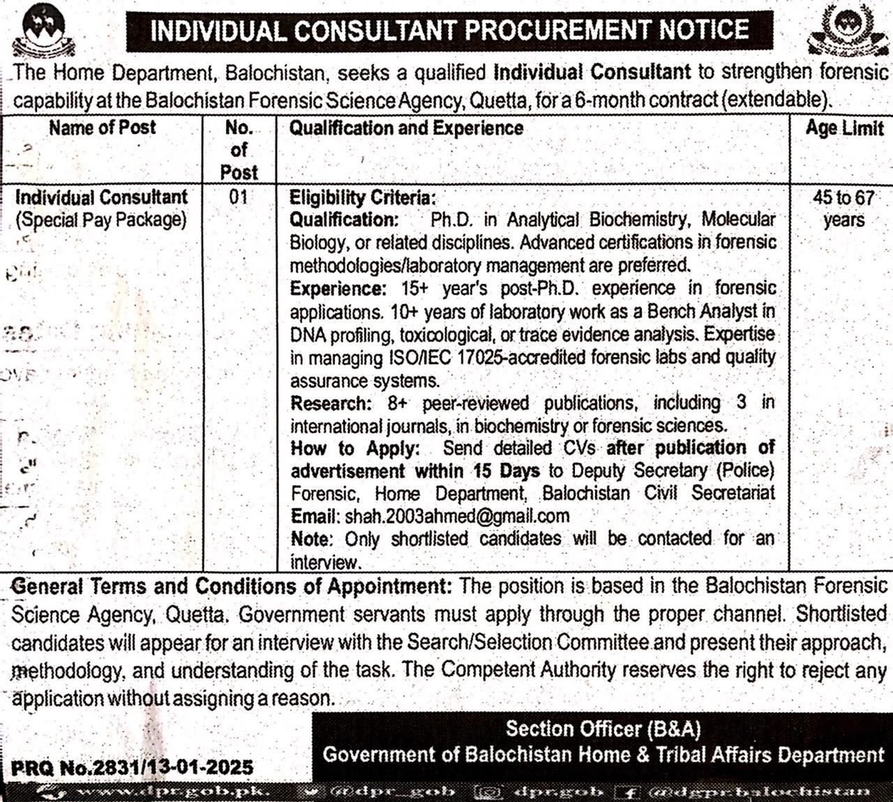 Individual Consultant 